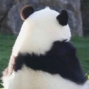 魏夏锤资料,魏夏锤最新歌曲,魏夏锤MV视频,魏夏锤音乐专辑,魏夏锤好听的歌