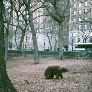 Frano资料,Frano最新歌曲,FranoMV视频,Frano音乐专辑,Frano好听的歌