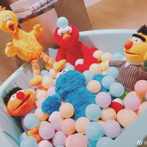 毛血旺要特辣资料,毛血旺要特辣最新歌曲,毛血旺要特辣MV视频,毛血旺要特辣音乐专辑,毛血旺要特辣好听的歌