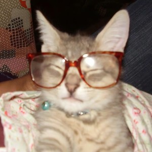 日久生情，与这波澜不惊