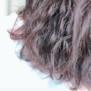 策风资料,策风最新歌曲,策风MV视频,策风音乐专辑,策风好听的歌