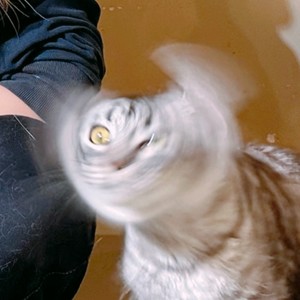 ziqi资料,ziqi最新歌曲,ziqiMV视频,ziqi音乐专辑,ziqi好听的歌