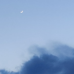 九木资料,九木最新歌曲,九木MV视频,九木音乐专辑,九木好听的歌