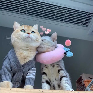 淤米米资料,淤米米最新歌曲,淤米米MV视频,淤米米音乐专辑,淤米米好听的歌