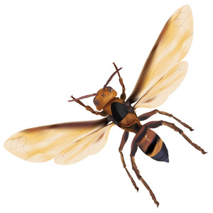 小峰峰资料,小峰峰最新歌曲,小峰峰MV视频,小峰峰音乐专辑,小峰峰好听的歌