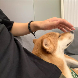 ILLBlAUER资料,ILLBlAUER最新歌曲,ILLBlAUERMV视频,ILLBlAUER音乐专辑,ILLBlAUER好听的歌