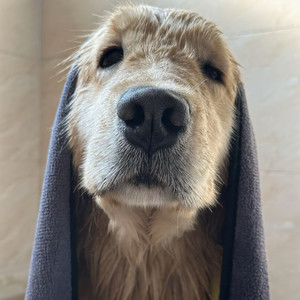 小恶魔资料,小恶魔最新歌曲,小恶魔MV视频,小恶魔音乐专辑,小恶魔好听的歌