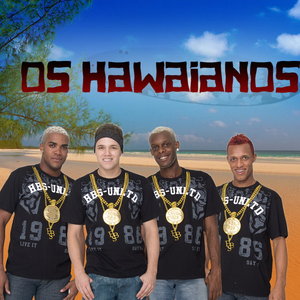 Os Havaianos