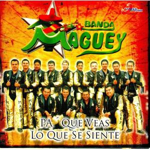 Banda Maguey