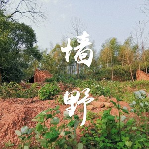 墙野乐队 (Wild Wall)资料,墙野乐队 (Wild Wall)最新歌曲,墙野乐队 (Wild Wall)MV视频,墙野乐队 (Wild Wall)音乐专辑,墙野乐队 (Wild Wall)好听的歌