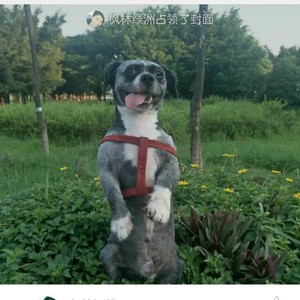 全哥资料,全哥最新歌曲,全哥MV视频,全哥音乐专辑,全哥好听的歌