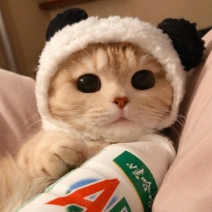 廿二资料,廿二最新歌曲,廿二MV视频,廿二音乐专辑,廿二好听的歌