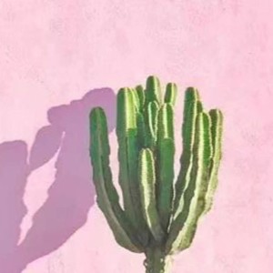 旎旎怪资料,旎旎怪最新歌曲,旎旎怪MV视频,旎旎怪音乐专辑,旎旎怪好听的歌
