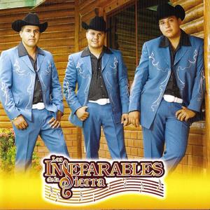 Los Inseparables De La Sierra资料,Los Inseparables De La Sierra最新歌曲,Los Inseparables De La SierraMV视频,Los Inseparables De La Sierra音乐专辑,Los Inseparables De La Sierra好听的歌