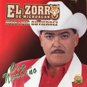 El Zorro de Michoacan