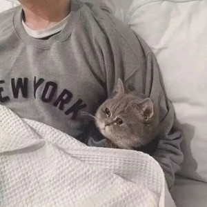 Gentle资料,Gentle最新歌曲,GentleMV视频,Gentle音乐专辑,Gentle好听的歌