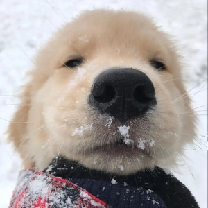 琦玉_Josin资料,琦玉_Josin最新歌曲,琦玉_JosinMV视频,琦玉_Josin音乐专辑,琦玉_Josin好听的歌