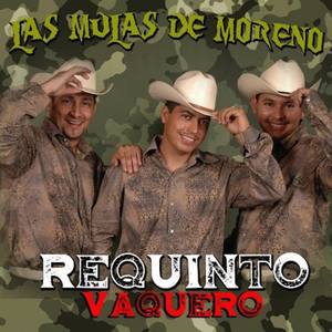 Requinto Vaquero