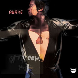 Awake资料,Awake最新歌曲,AwakeMV视频,Awake音乐专辑,Awake好听的歌