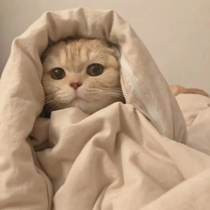 有间资料,有间最新歌曲,有间MV视频,有间音乐专辑,有间好听的歌