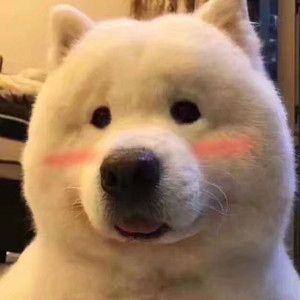 Yiran资料,Yiran最新歌曲,YiranMV视频,Yiran音乐专辑,Yiran好听的歌