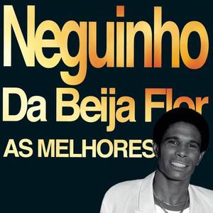 Neguinho da Beija-Flor