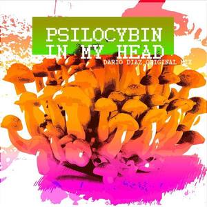 Dario Diaz资料,Dario Diaz最新歌曲,Dario DiazMV视频,Dario Diaz音乐专辑,Dario Diaz好听的歌