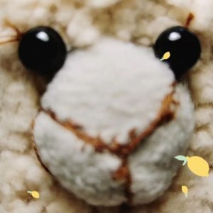 赵义荷资料,赵义荷最新歌曲,赵义荷MV视频,赵义荷音乐专辑,赵义荷好听的歌