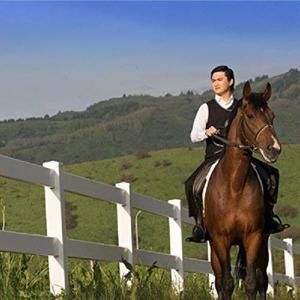 Төреғали Төреәлі资料,Төреғали Төреәлі最新歌曲,Төреғали ТөреәліMV视频,Төреғали Төреәлі音乐专辑,Төреғали Төреәлі好听的歌