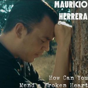 Mauricio Herrera资料,Mauricio Herrera最新歌曲,Mauricio HerreraMV视频,Mauricio Herrera音乐专辑,Mauricio Herrera好听的歌