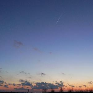 阿怪资料,阿怪最新歌曲,阿怪MV视频,阿怪音乐专辑,阿怪好听的歌