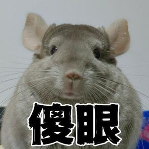 啊漆资料,啊漆最新歌曲,啊漆MV视频,啊漆音乐专辑,啊漆好听的歌