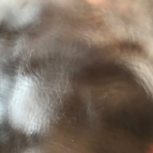 详询开户行 - 拾光