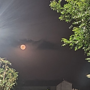 天涯漫步资料,天涯漫步最新歌曲,天涯漫步MV视频,天涯漫步音乐专辑,天涯漫步好听的歌