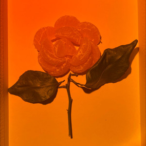 Erika资料,Erika最新歌曲,ErikaMV视频,Erika音乐专辑,Erika好听的歌