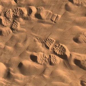 oceanpoly资料,oceanpoly最新歌曲,oceanpolyMV视频,oceanpoly音乐专辑,oceanpoly好听的歌