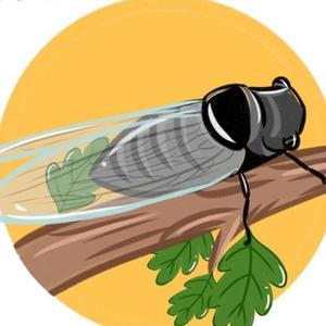 知了先生资料,知了先生最新歌曲,知了先生MV视频,知了先生音乐专辑,知了先生好听的歌