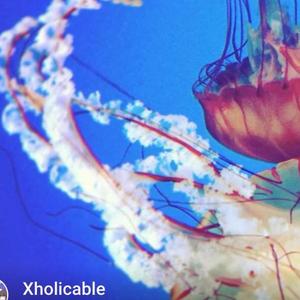 Holi资料,Holi最新歌曲,HoliMV视频,Holi音乐专辑,Holi好听的歌