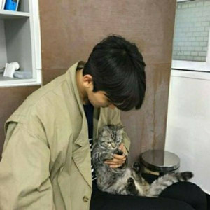 北辰 - 怪我无情