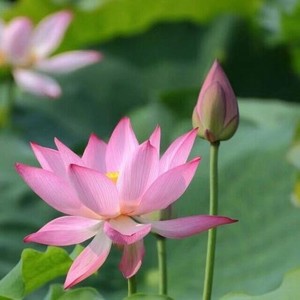 田喜喜资料,田喜喜最新歌曲,田喜喜MV视频,田喜喜音乐专辑,田喜喜好听的歌