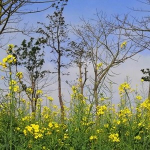 美娟资料,美娟最新歌曲,美娟MV视频,美娟音乐专辑,美娟好听的歌