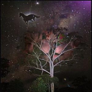 Stellar Ink Pony资料,Stellar Ink Pony最新歌曲,Stellar Ink PonyMV视频,Stellar Ink Pony音乐专辑,Stellar Ink Pony好听的歌