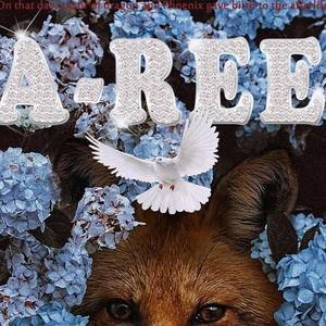 A-ree资料,A-ree最新歌曲,A-reeMV视频,A-ree音乐专辑,A-ree好听的歌