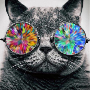 18岁的李大叔资料,18岁的李大叔最新歌曲,18岁的李大叔MV视频,18岁的李大叔音乐专辑,18岁的李大叔好听的歌