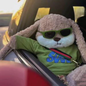 什么兔子资料,什么兔子最新歌曲,什么兔子MV视频,什么兔子音乐专辑,什么兔子好听的歌