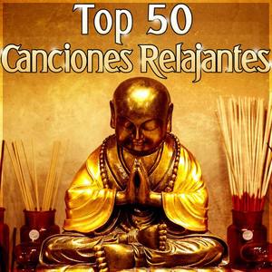 La Espiritualidad Música Colección资料,La Espiritualidad Música Colección最新歌曲,La Espiritualidad Música ColecciónMV视频,La Espiritualidad Música Colección音乐专辑,La Espiritualidad Música Colección好听的歌