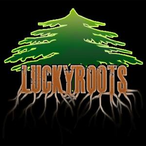 Lucky Roots