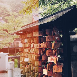 春丘资料,春丘最新歌曲,春丘MV视频,春丘音乐专辑,春丘好听的歌