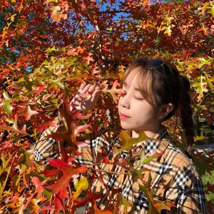 韦祎资料,韦祎最新歌曲,韦祎MV视频,韦祎音乐专辑,韦祎好听的歌