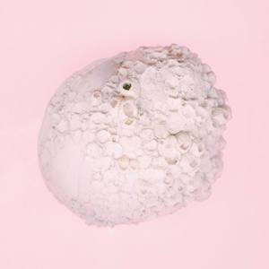 Dime (Official Lyric Video) ft. Rayo